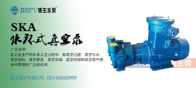 SKA型水環真空泵-60.jpg
